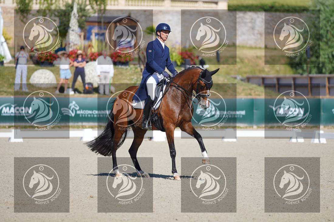 Aperçu Bertrand LIEGARD · GINGER