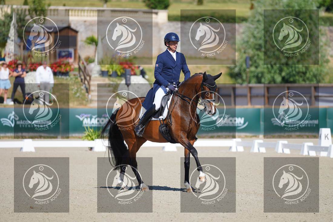 Aperçu Bertrand LIEGARD · GINGER