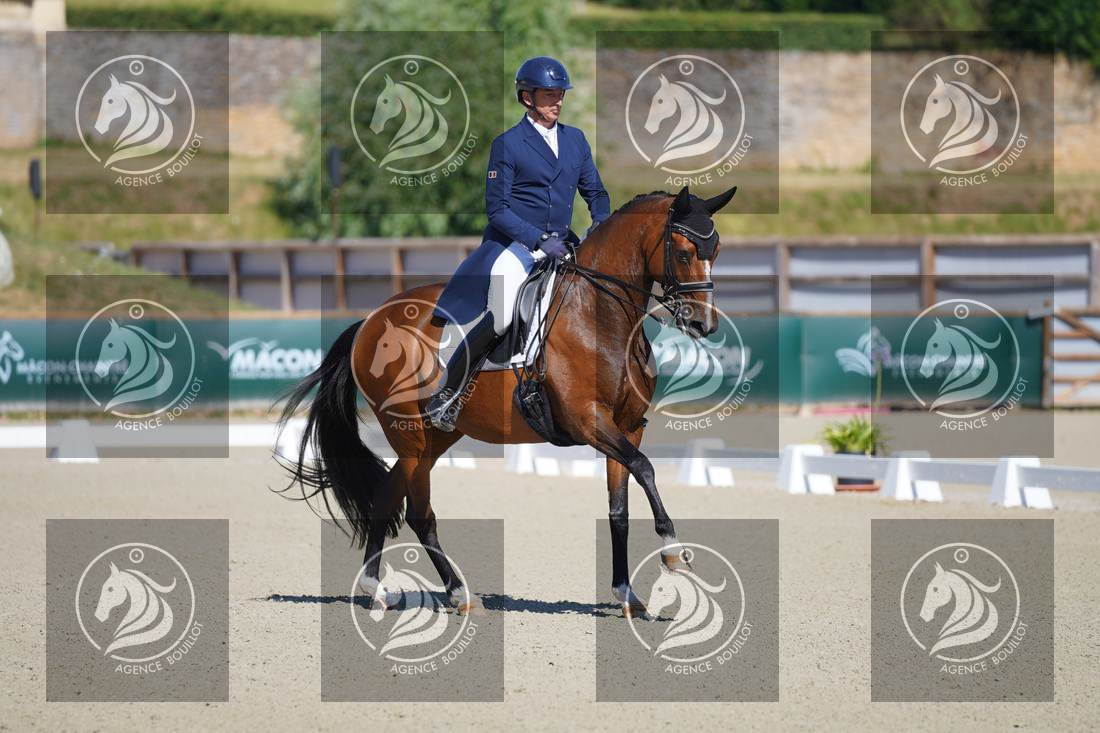 Aperçu Bertrand LIEGARD · GINGER