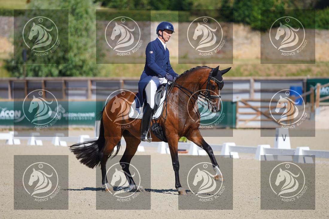 Aperçu Bertrand LIEGARD · GINGER