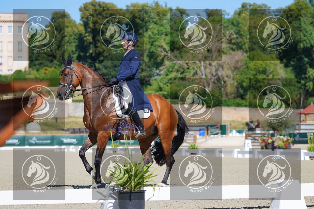 Aperçu Bertrand LIEGARD · GINGER