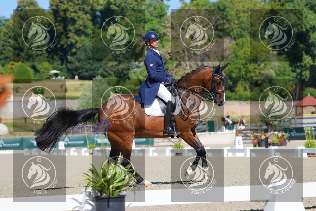 Aperçu Bertrand LIEGARD · GINGER