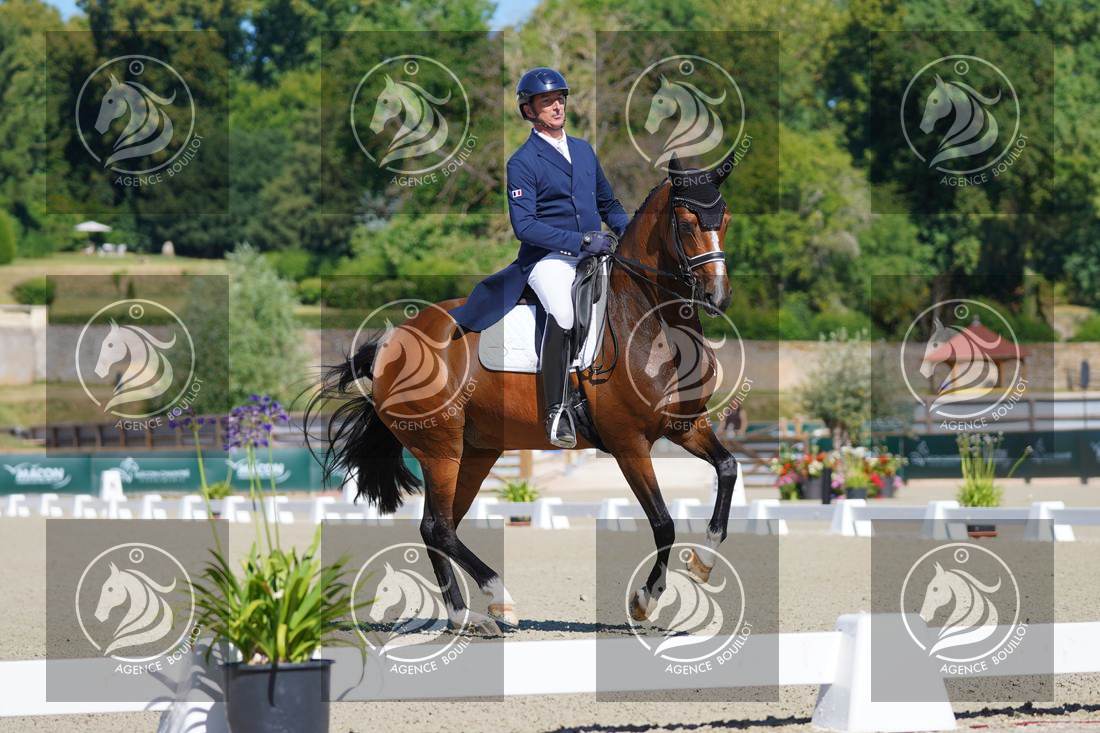 Aperçu Bertrand LIEGARD · GINGER
