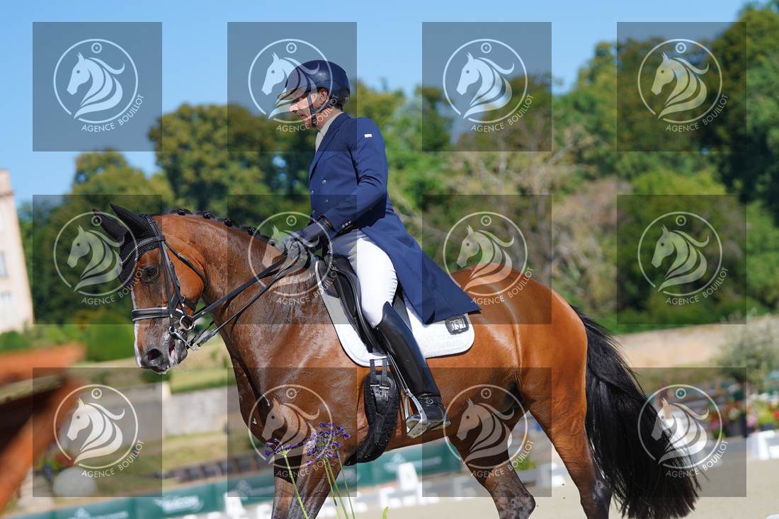 Aperçu Bertrand LIEGARD · GINGER