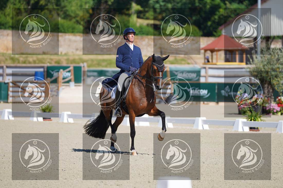Aperçu Bertrand LIEGARD · GINGER