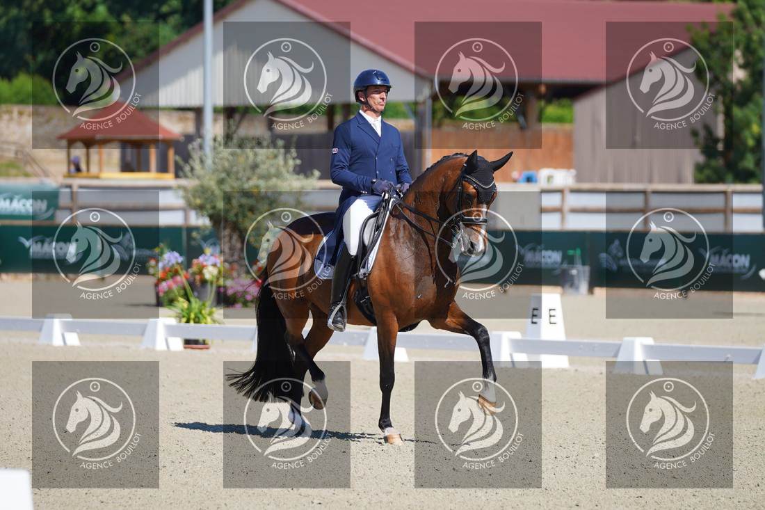 Aperçu Bertrand LIEGARD · GINGER