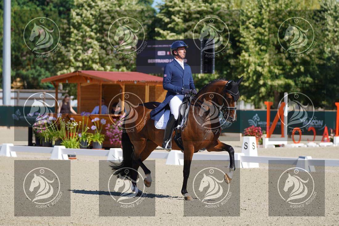 Aperçu Bertrand LIEGARD · GINGER