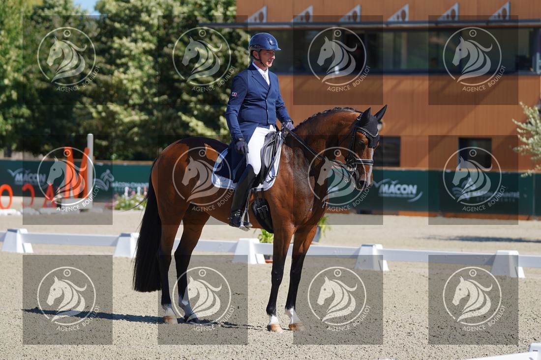 Aperçu Bertrand LIEGARD · GINGER