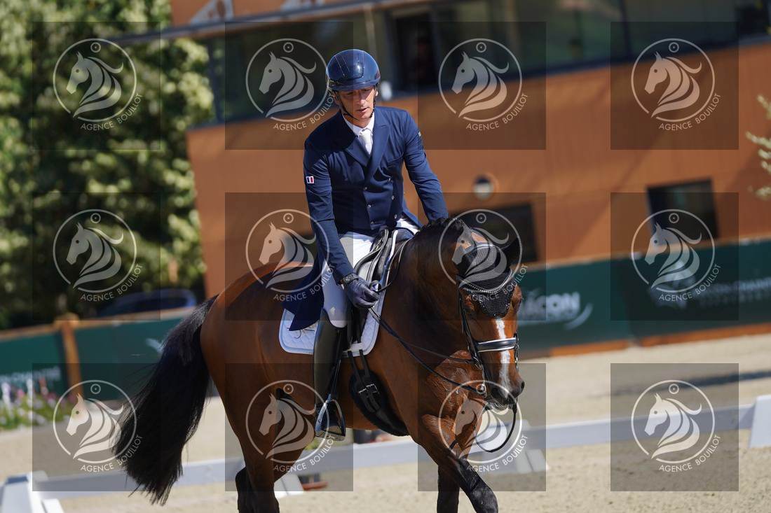 Aperçu Bertrand LIEGARD · GINGER