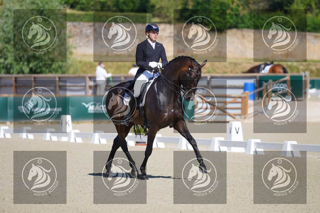 Aperçu Darren HICKS · TRAMONTANA TIGER FEET