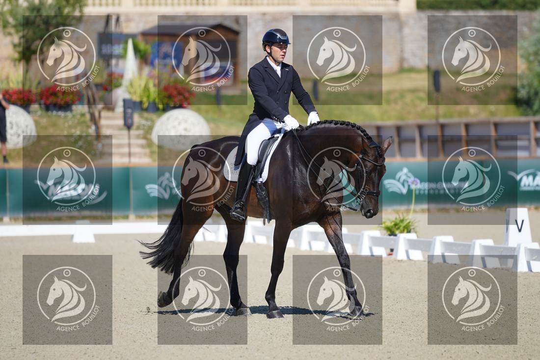 Aperçu Darren HICKS · TRAMONTANA TIGER FEET
