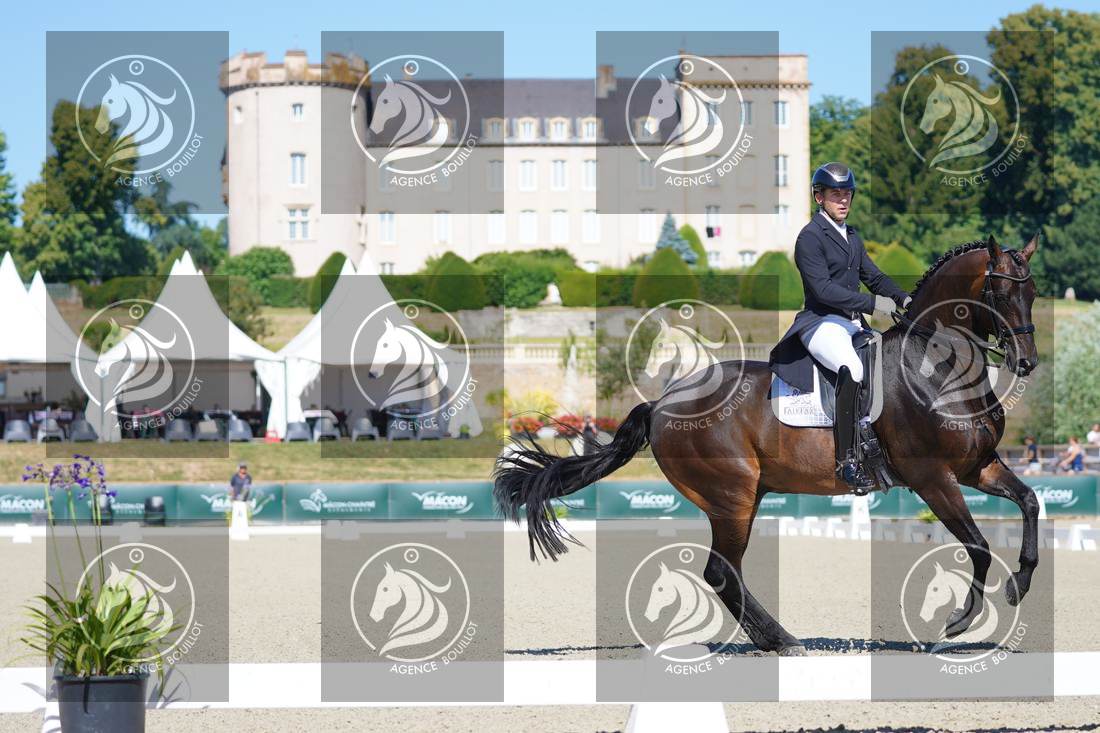 Aperçu Darren HICKS · TRAMONTANA TIGER FEET