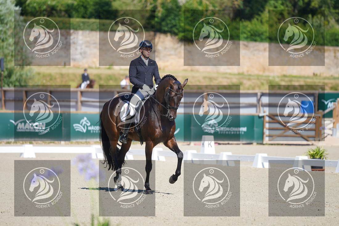 Aperçu Darren HICKS · TRAMONTANA TIGER FEET