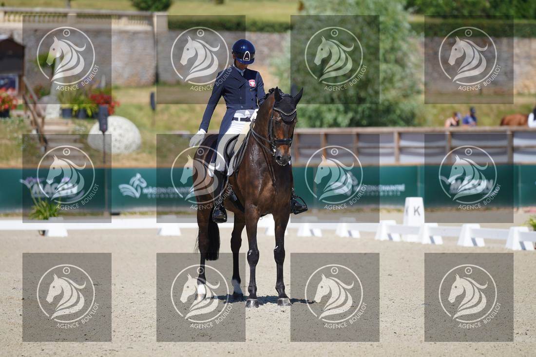 Aperçu Roy FIRST · INFINITY WIN T