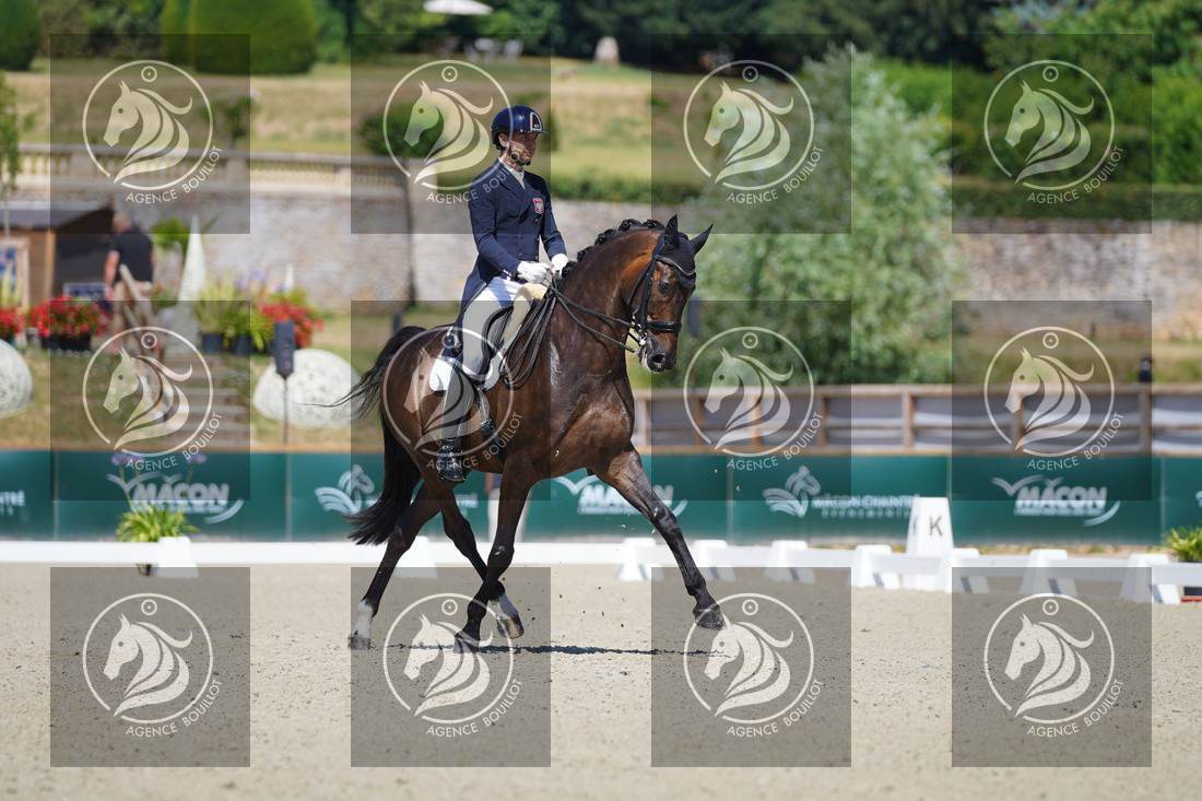 Aperçu Roy FIRST · INFINITY WIN T