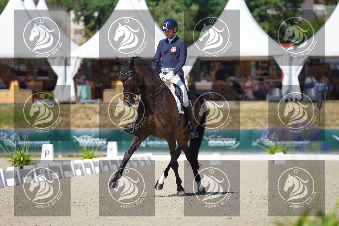 Aperçu Roy FIRST · INFINITY WIN T