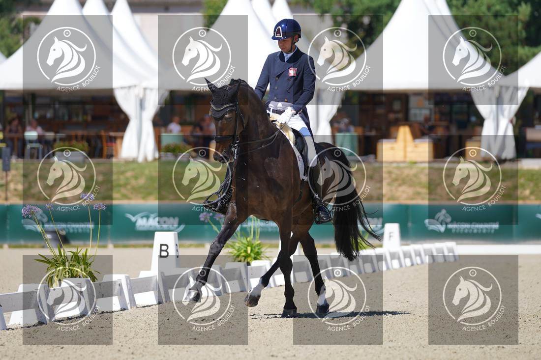 Aperçu Roy FIRST · INFINITY WIN T