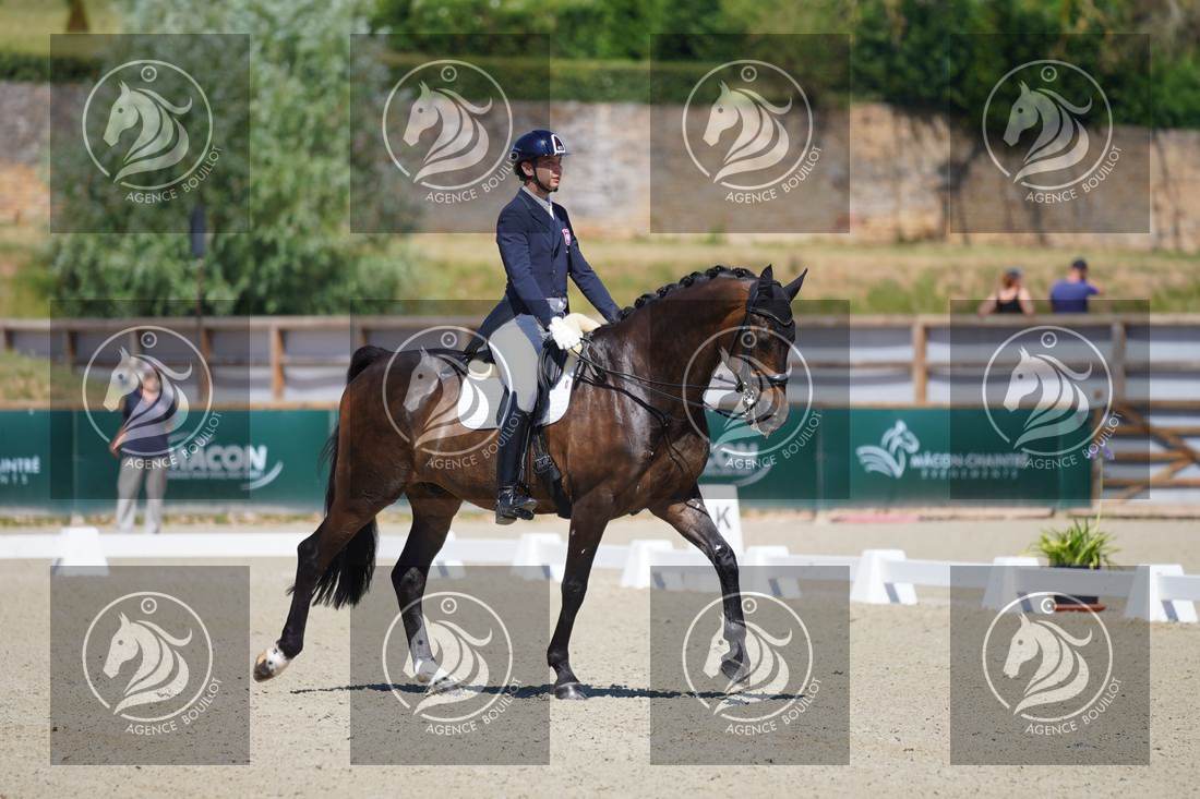 Aperçu Roy FIRST · INFINITY WIN T
