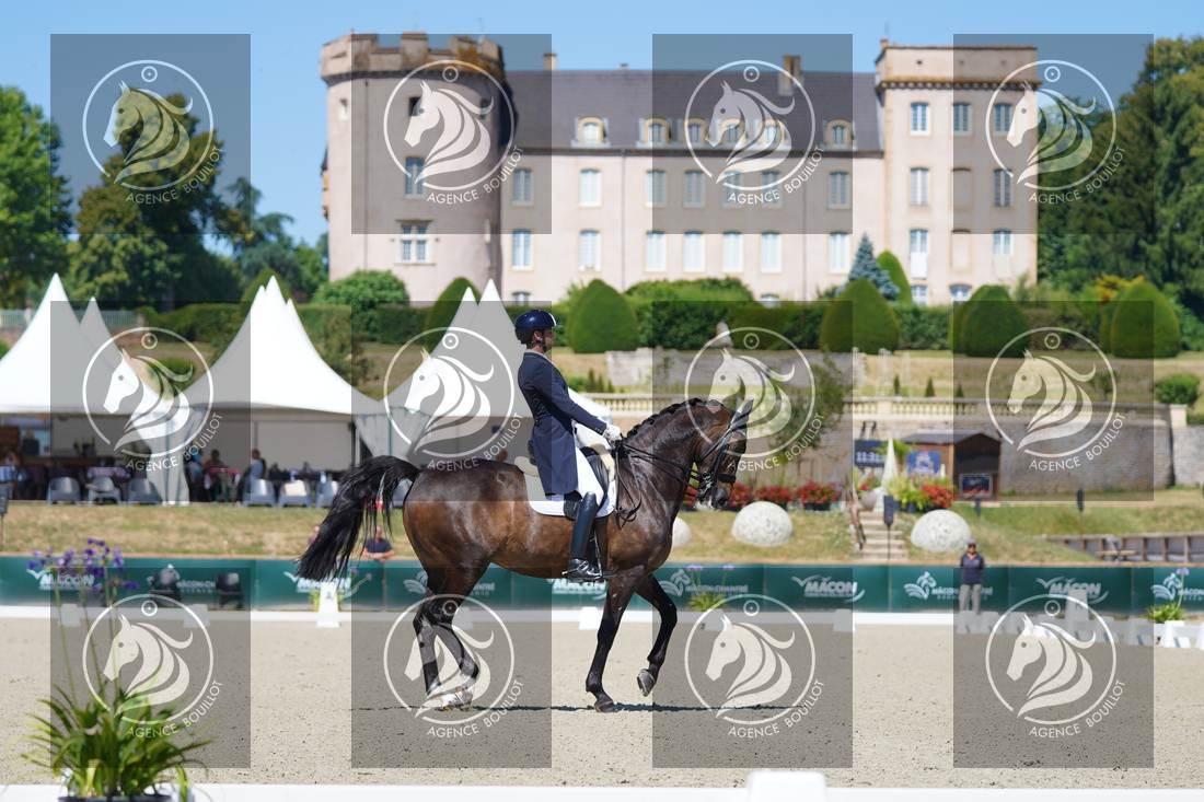 Aperçu Roy FIRST · INFINITY WIN T