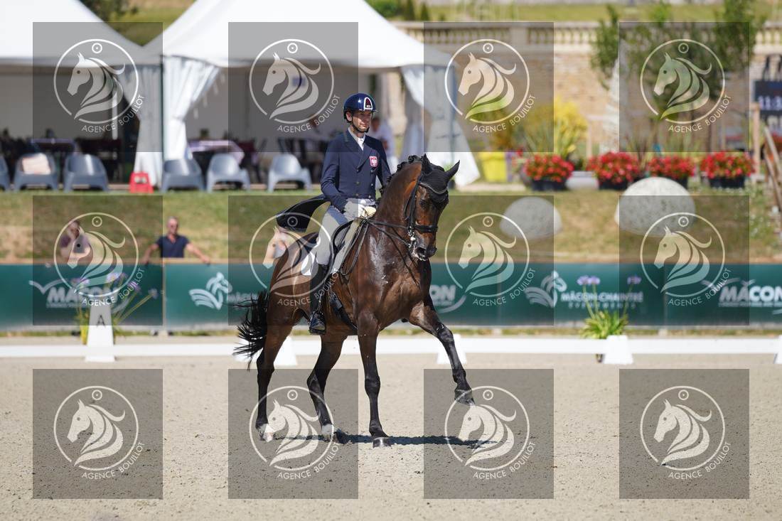 Aperçu Roy FIRST · INFINITY WIN T