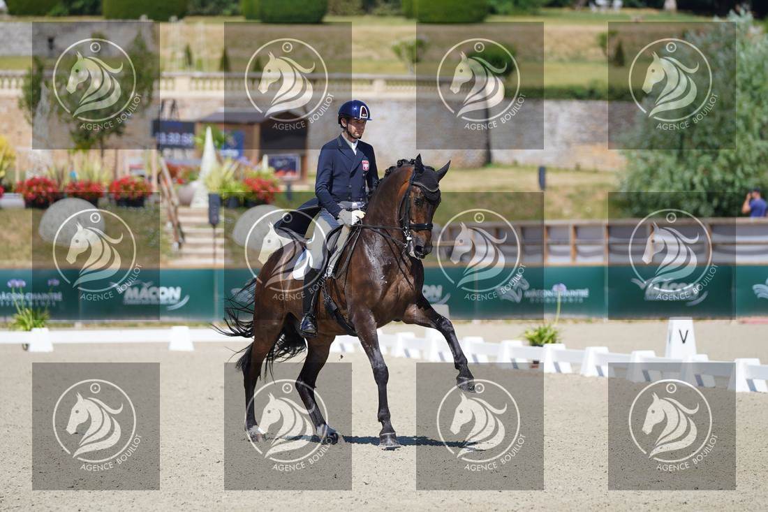 Aperçu Roy FIRST · INFINITY WIN T