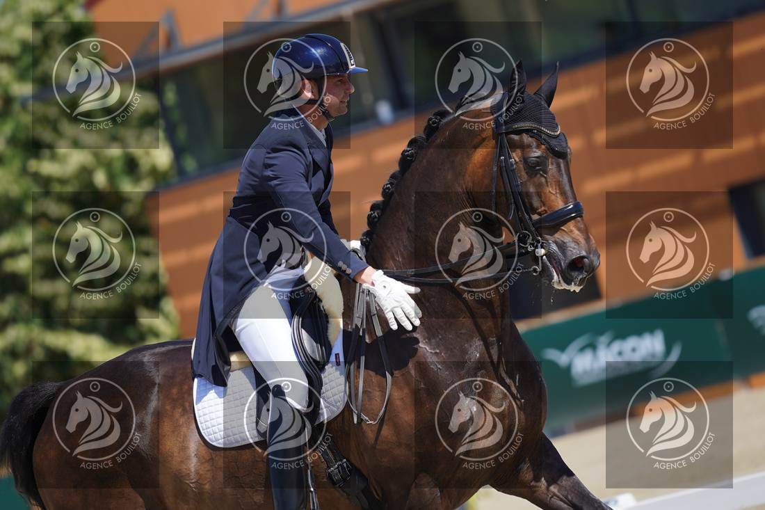 Aperçu Roy FIRST · INFINITY WIN T