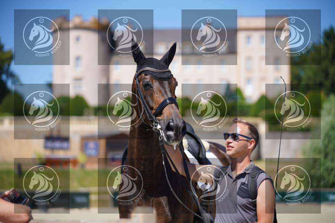 Aperçu Roy FIRST · INFINITY WIN T