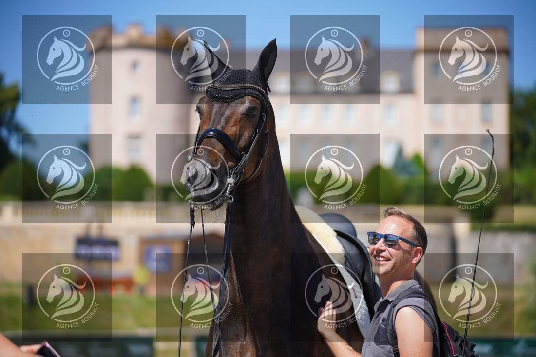 Aperçu Roy FIRST · INFINITY WIN T