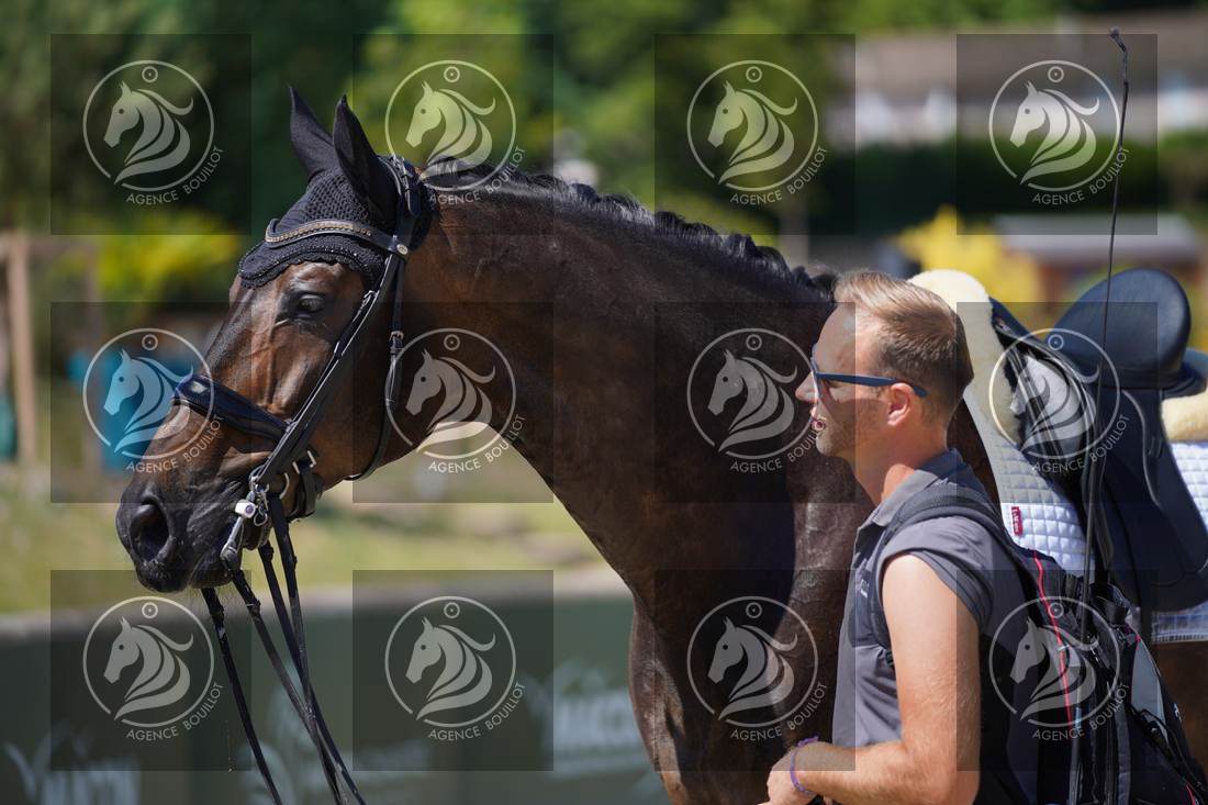 Aperçu Roy FIRST · INFINITY WIN T
