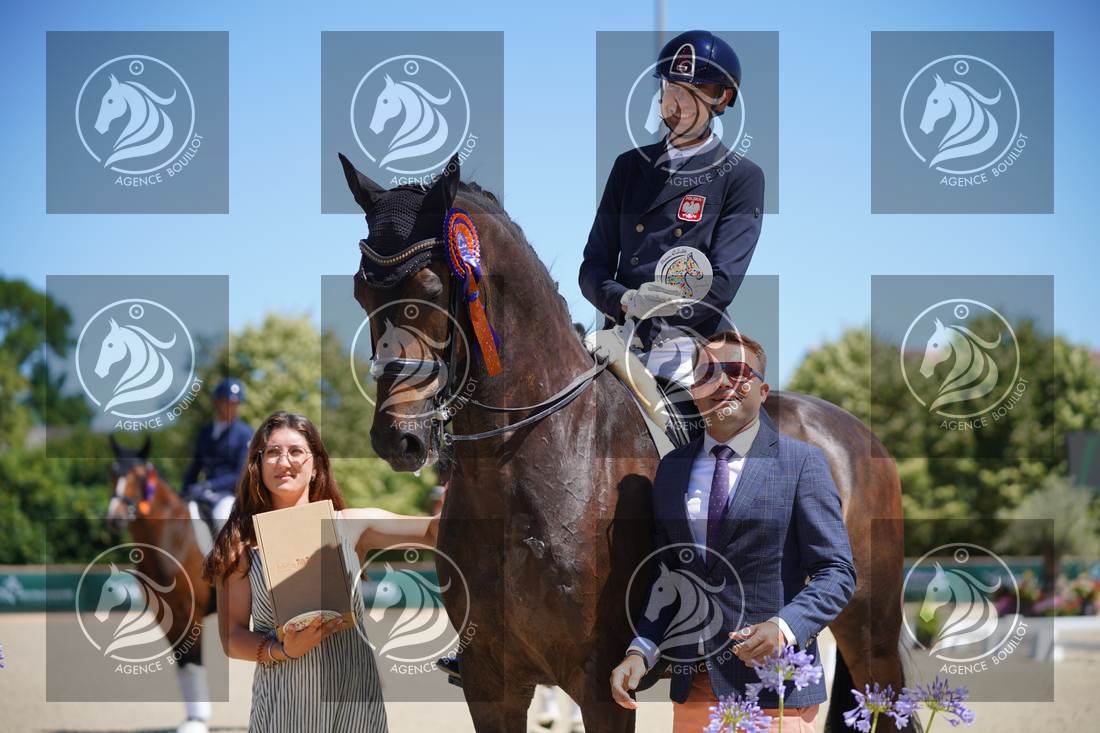Aperçu Roy FIRST · INFINITY WIN T