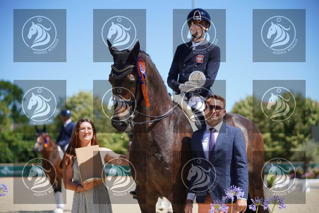 Aperçu Roy FIRST · INFINITY WIN T