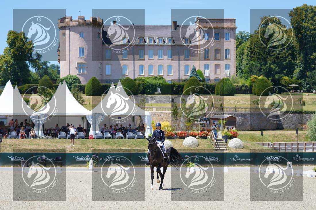 Aperçu Constance MENARD · DONARA DES BLANCS