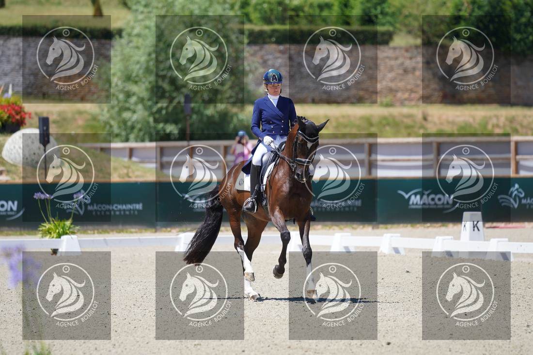 Aperçu Anne sophie SERRE · LIGHTNING STAR