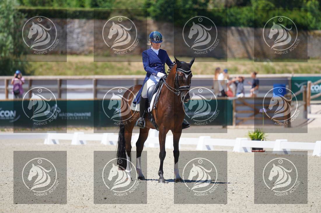 Aperçu Anne sophie SERRE · LIGHTNING STAR