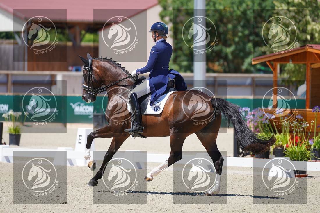 Aperçu Anne sophie SERRE · LIGHTNING STAR