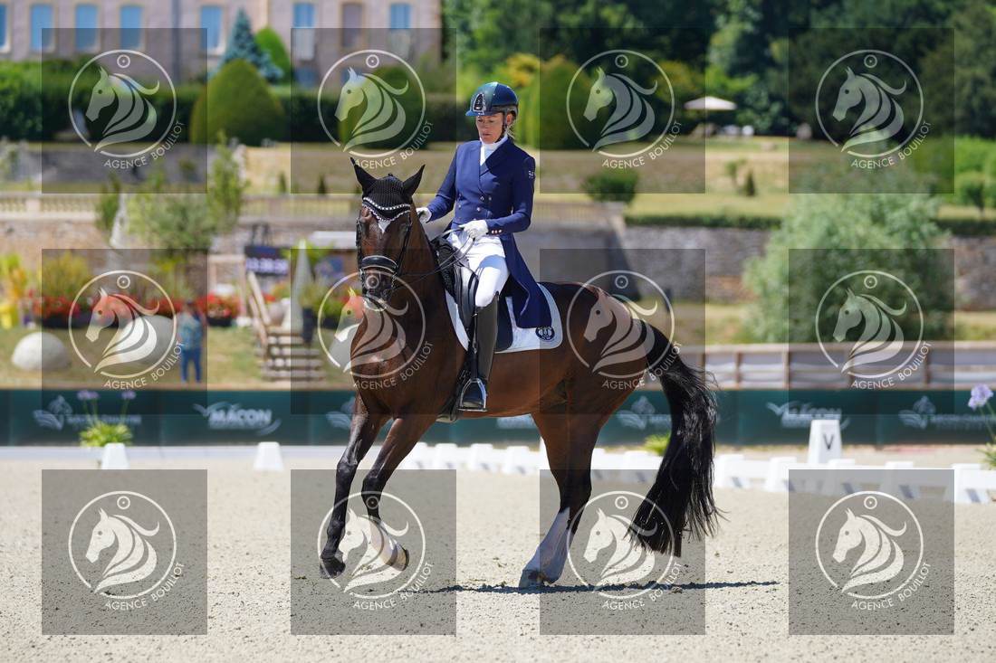 Aperçu Anne sophie SERRE · LIGHTNING STAR