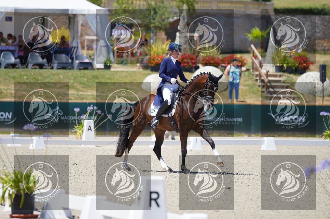 Aperçu Anne sophie SERRE · LIGHTNING STAR