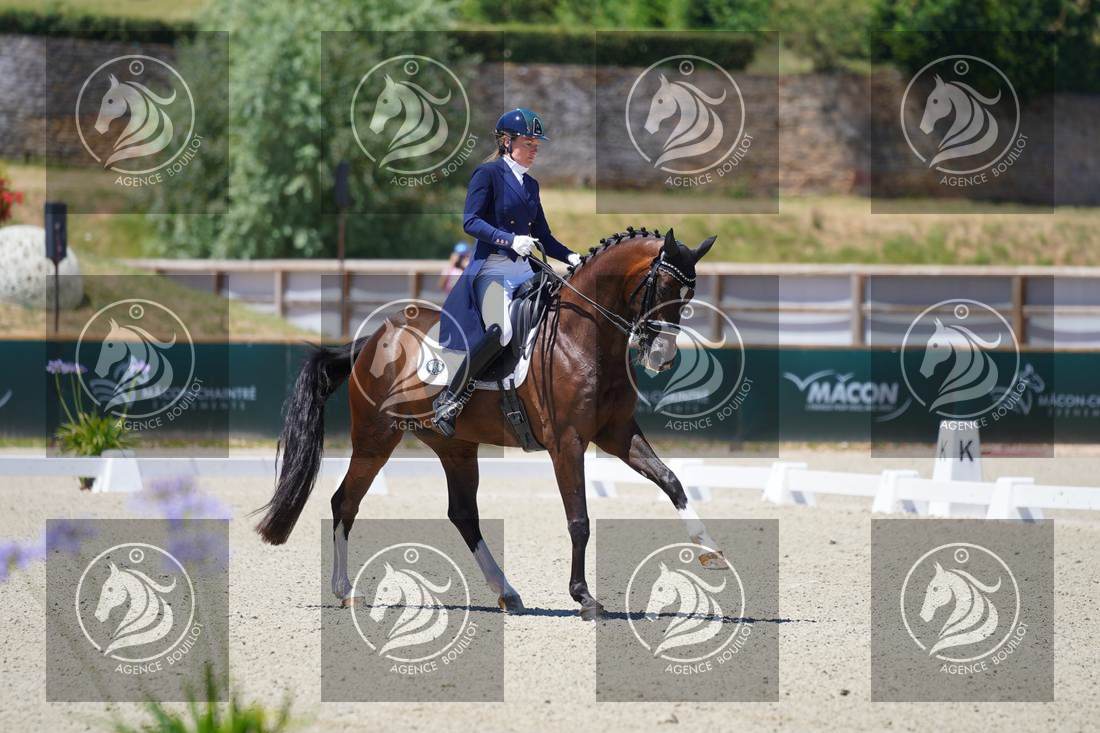 Aperçu Anne sophie SERRE · LIGHTNING STAR