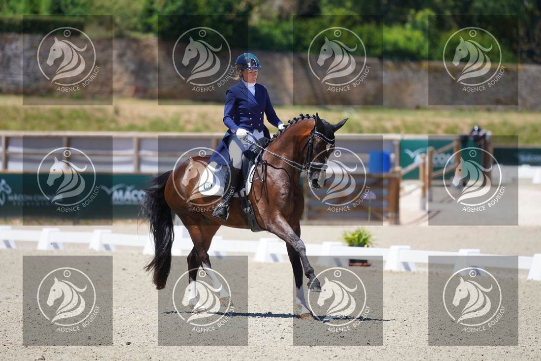Aperçu Anne sophie SERRE · LIGHTNING STAR