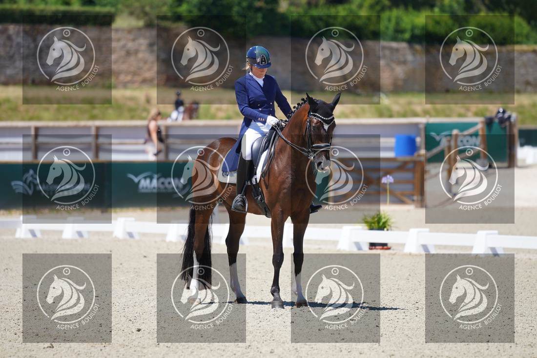 Aperçu Anne sophie SERRE · LIGHTNING STAR