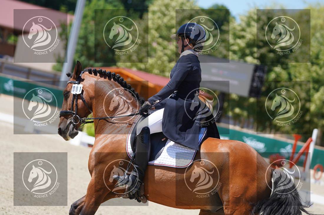Aperçu Anne sabine COUSIN · NINO DE BLANDIN